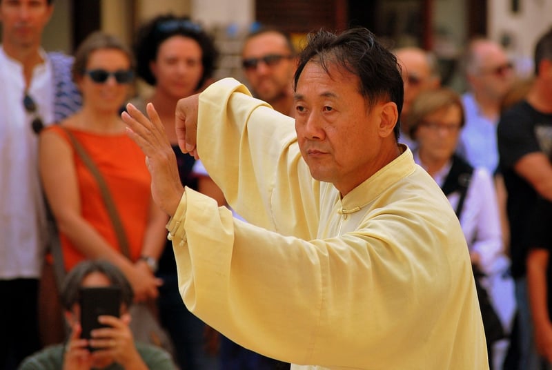 Tai Chi - Chinese Martial Arts